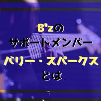 B Z Club Gymって何 B Z Partyとの違いは その特徴を紹介する ネット生活で収入と自由な人生を手に入れる